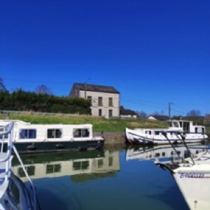 Le printemps dans les Ardennes 🌸 🐗.#ardennes